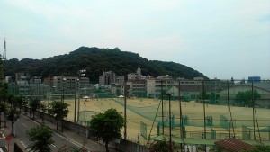 IMAG0339